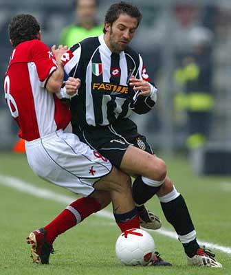 地滑球组合 地滑球组合